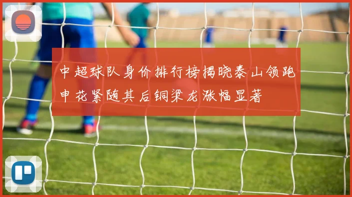 中超球队身价排行榜揭晓泰山领跑申花紧随其后铜梁龙涨幅显著