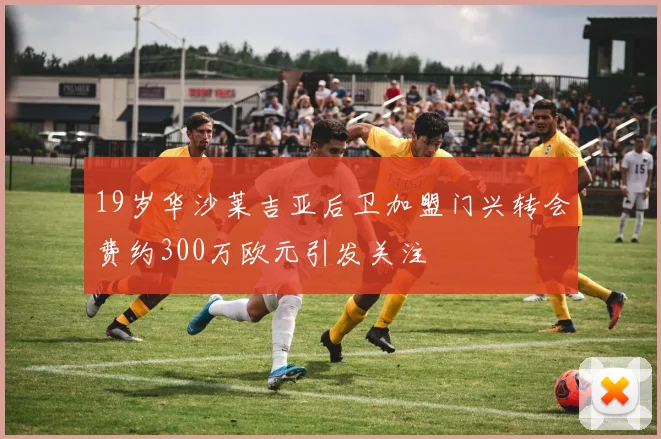 19岁华沙莱吉亚后卫加盟门兴转会费约300万欧元引发关注